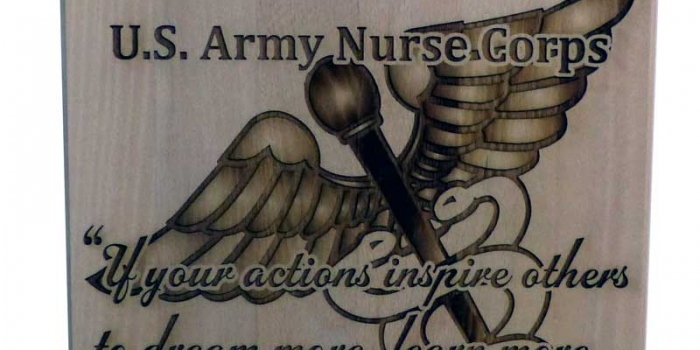 US Army Nurse Corps Award / Light Wood DIP 7